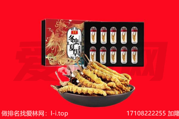 江门市恩平回收虫草.jpg